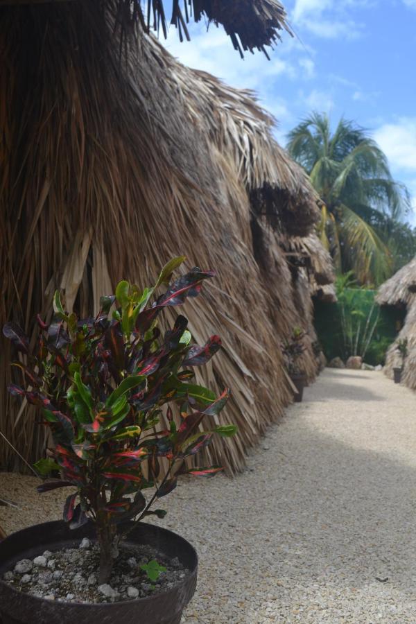 Hakuna Matata Glamping Bacalar Exterior foto